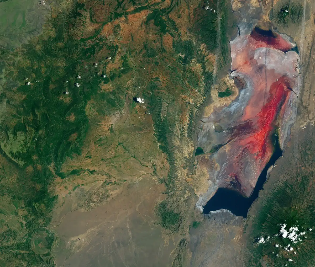 Image satellite du lac Natron aux eaux rouges et aux croûtes de sel blanches