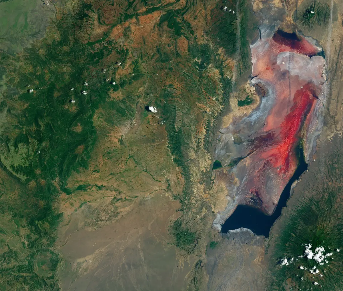 Satellitenbild des Natronsees mit rotem Wasser und weißen Salzkrusten