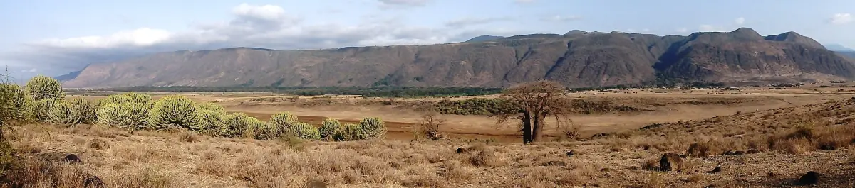 Vue panoramique de l’escarpement de la vallée du Rift à Selela en Tanzanie